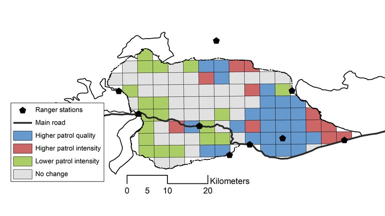 Figure 4.tif