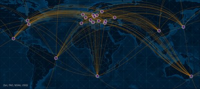 Global network