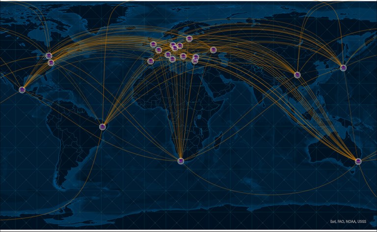 GlobalNetwork.tif